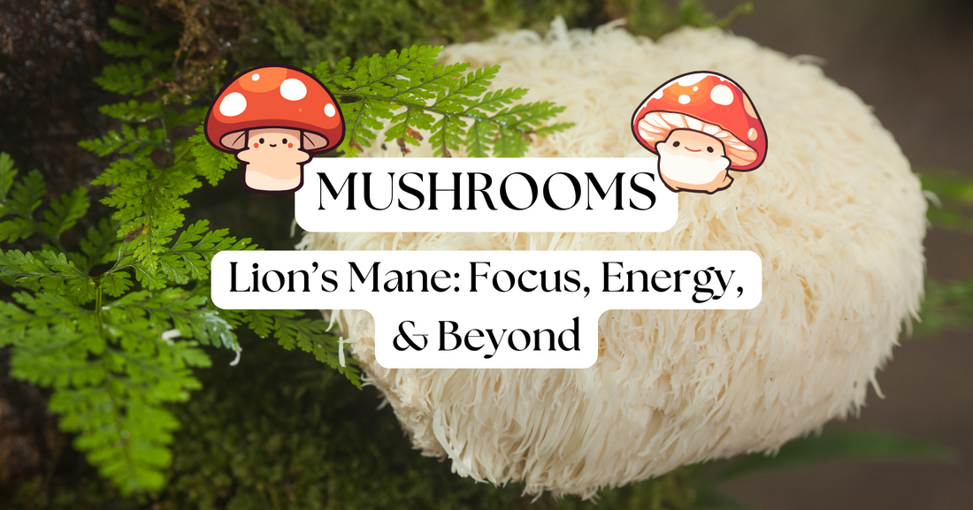 The Power of Organic Lion’s Mane: Focus, Energy, and Beyond