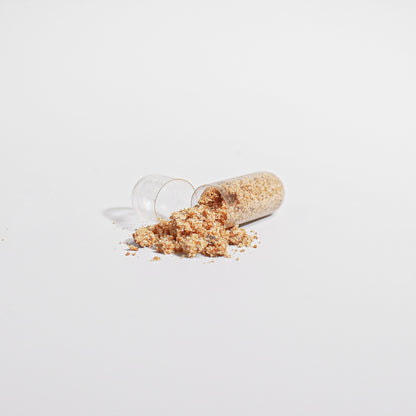 Bee Bread Capsules for Brain, Gut, Sexual, Liver, Mood, & More